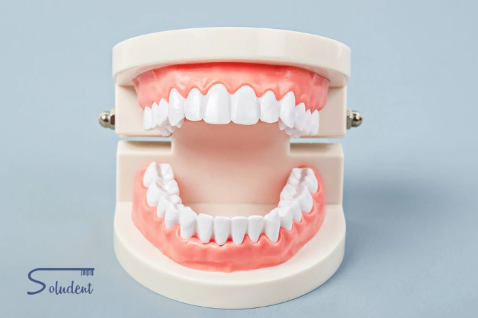 Nombre de los dientes en Alfaz del Pi